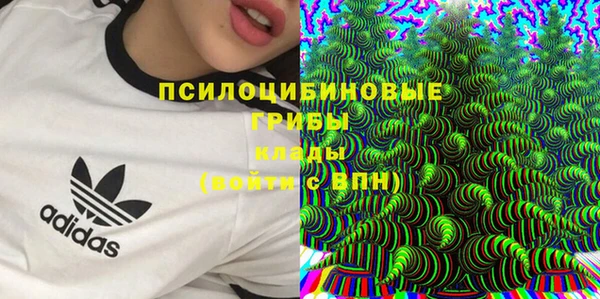 эйфоретик Абинск