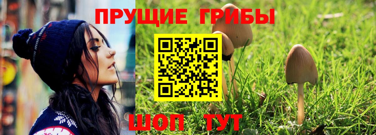 Галлюциногенные грибы ЛСД Фурманов