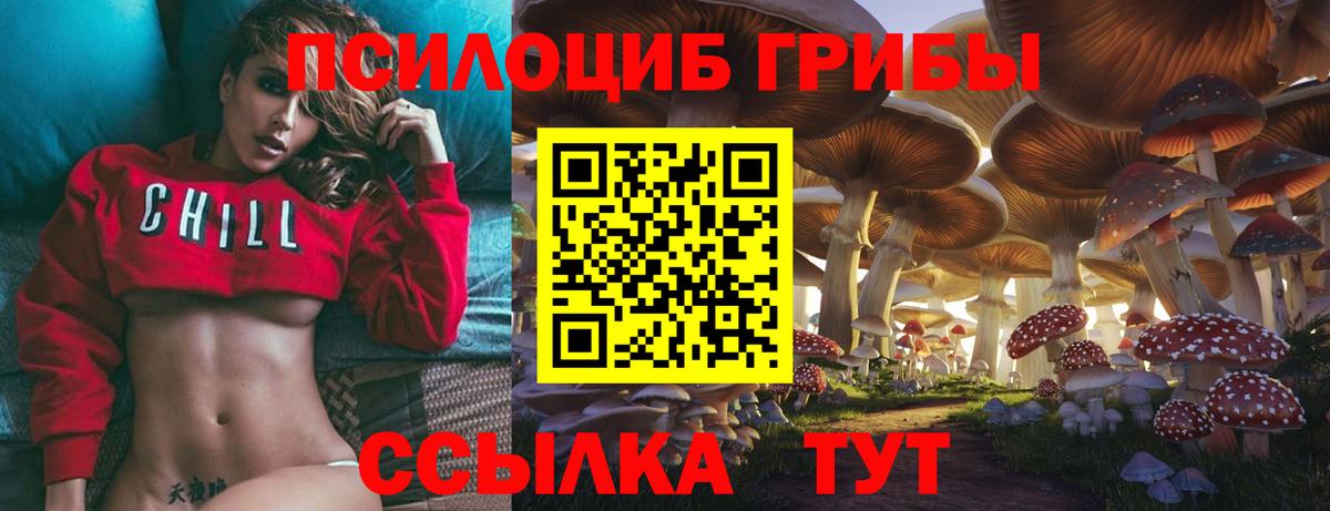 Фурманов  Псилоцибиновые грибы ЛСД  Вход с VPN 