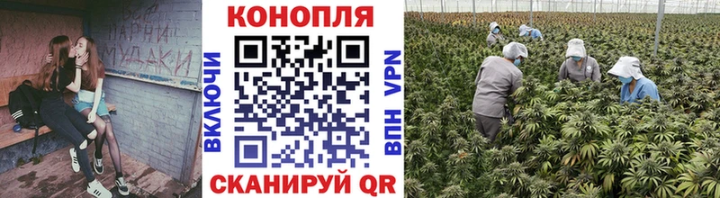 darknet Telegram  Фурманов  Конопля THC 21%  ОМГ ОМГ ТОР 