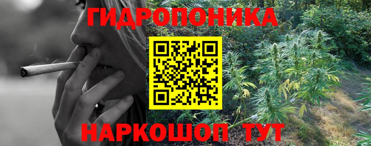 Конопля MAZAR Фурманов